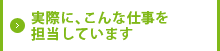 実際に、こんな仕事を担当しています
