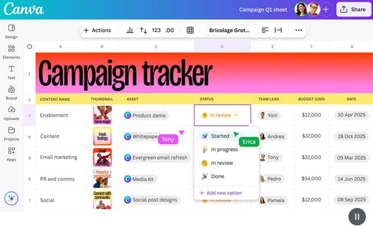 canva_pic01.jpg